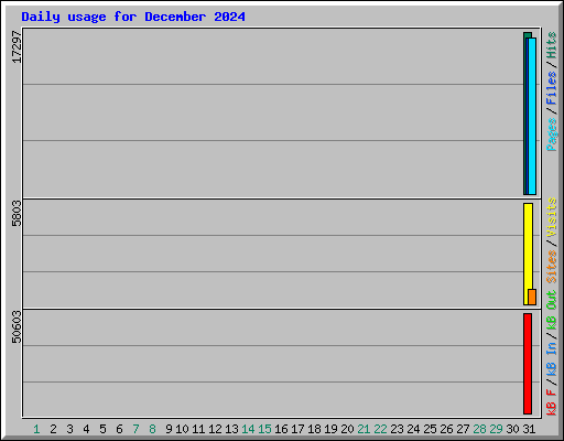 Daily usage for December 2024