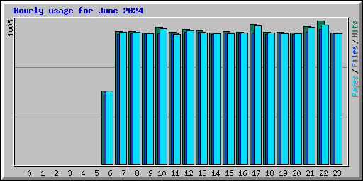 Hourly usage for June 2024