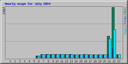 Hourly usage for July 2024