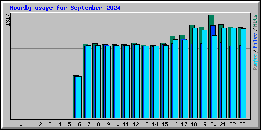 Hourly usage for September 2024