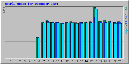 Hourly usage for December 2024