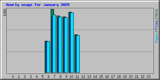 Hourly usage for January 2025