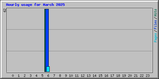 Hourly usage for March 2025