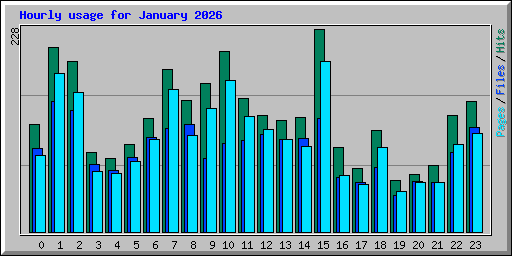 Hourly usage for January 2026