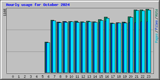 Hourly usage for October 2024